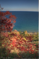 resized_fall08_12.jpg